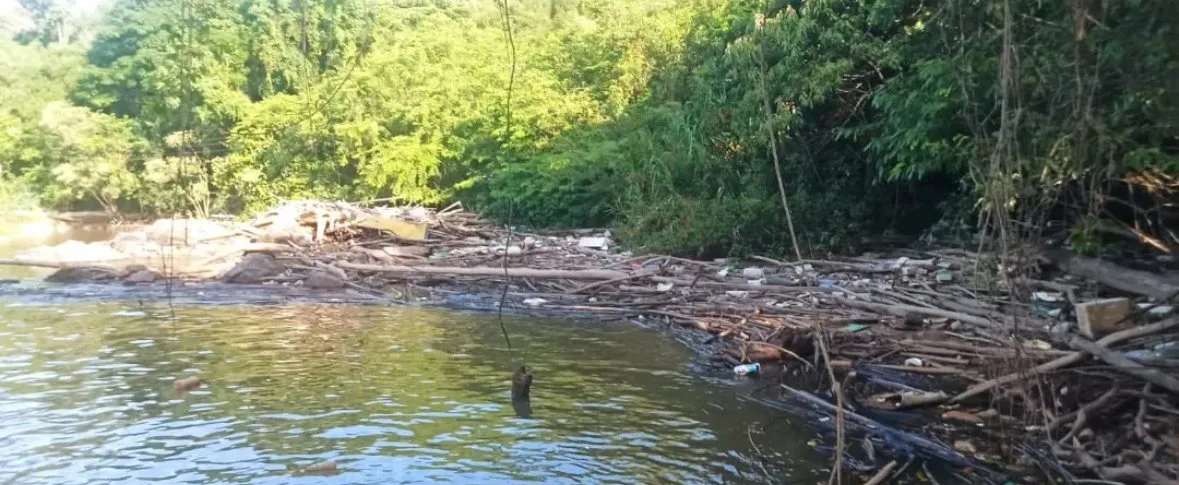 Lixo e galhos presos no Rio Atibaia em Três Pontes, dezembro de 2023